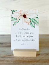Load image into Gallery viewer, A Year of Calm Christian Scripture Memory Verse Cards