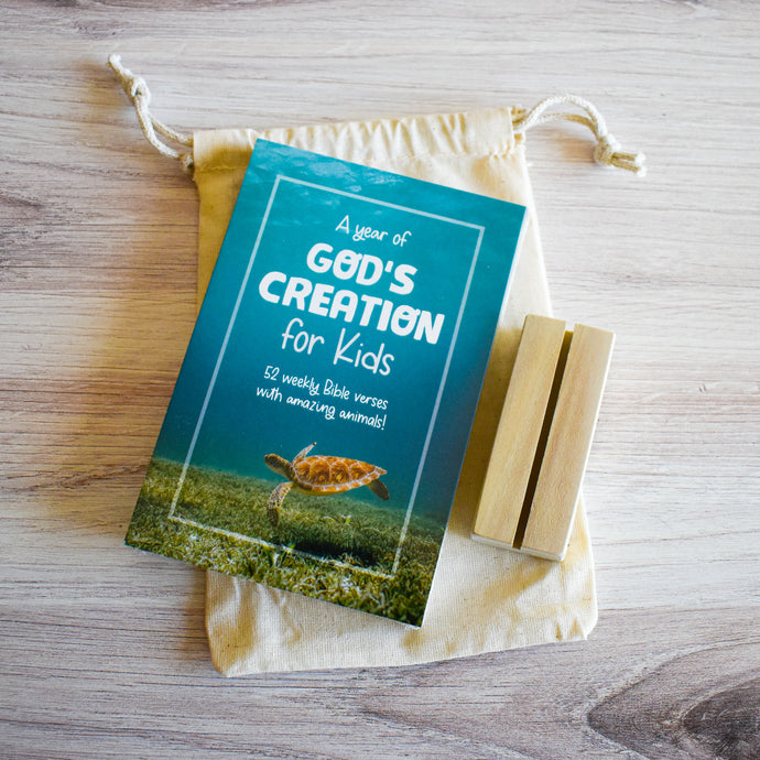 Bible Verse Flash Cards for Kids: A Year of God's Creation includes 52 weekly Bible verses with amazing animals.