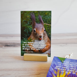 Scripture cards with stand and animal photos for kids to help you learn a weekly memory verse.