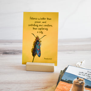 Patience is better than power, and controlling one's emotions, than capturing a city. Proverbs 16:32 Scripture card with wooden stand for kids room featuring animals and bright happy colors.